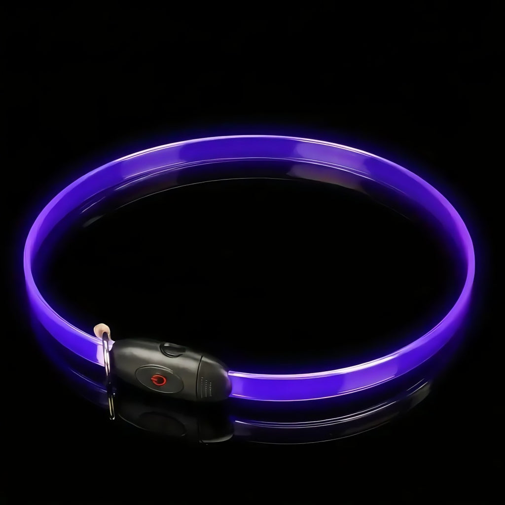 LED Light Up Dog Collar with Reflective Safety